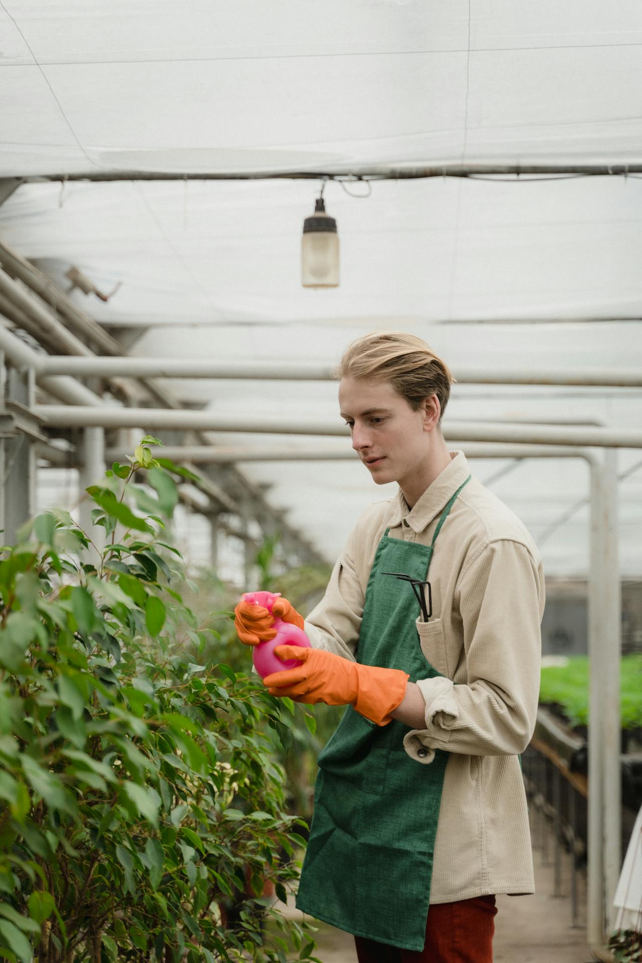 Gardener